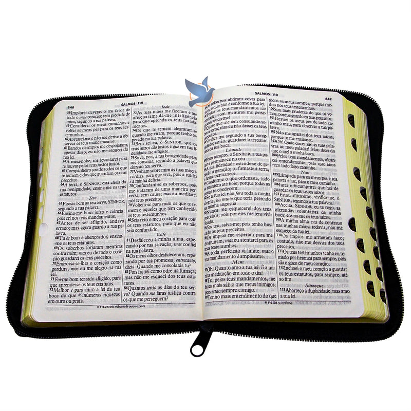 Bíblia Sagrada ARC Letra Grande com Zíper